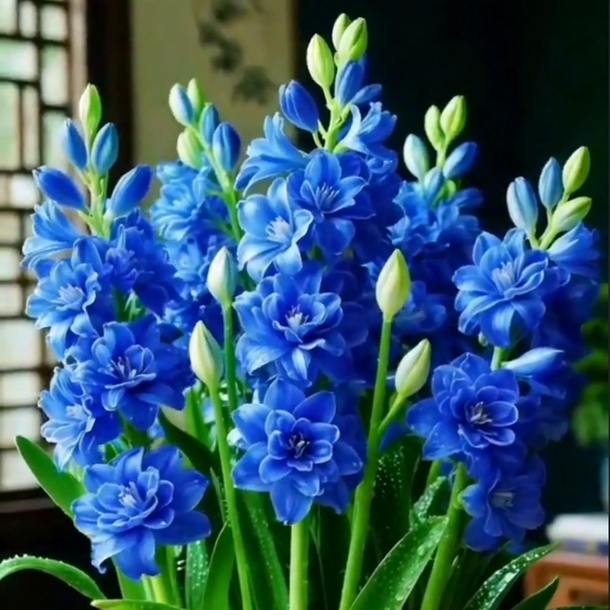 🔥【Limited Time Sale】Tuberose🌸 Bulbs! Enjoy 💥50% off, come by and grab it!