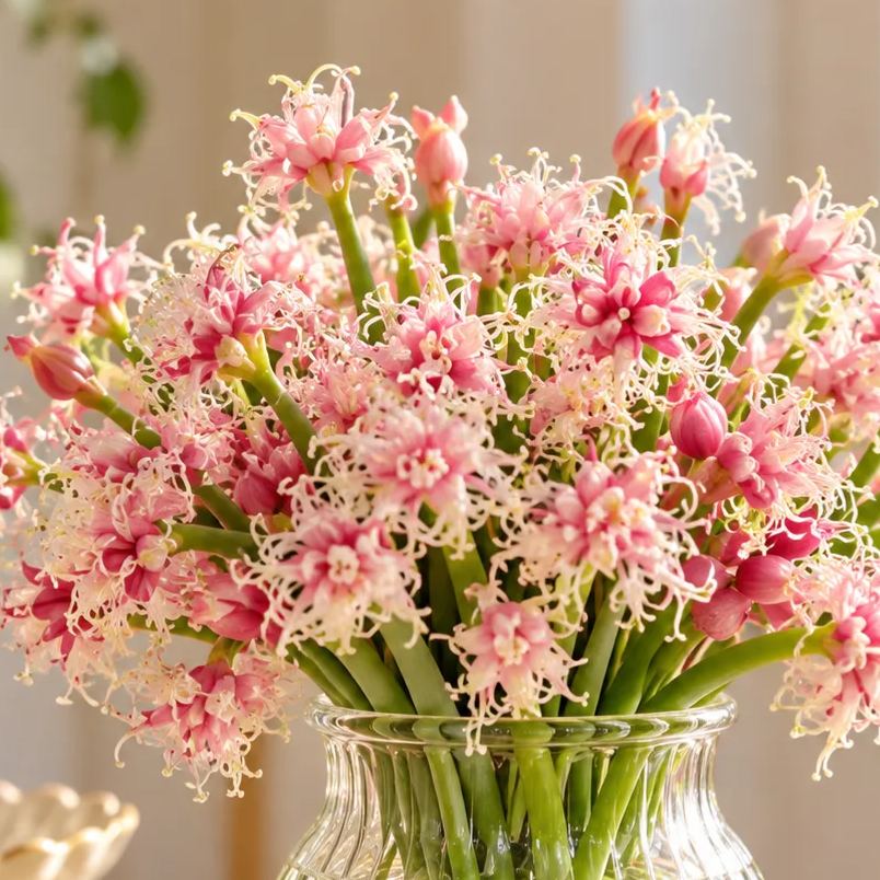 Hydroponic Garlic Scape Flower Bulbs