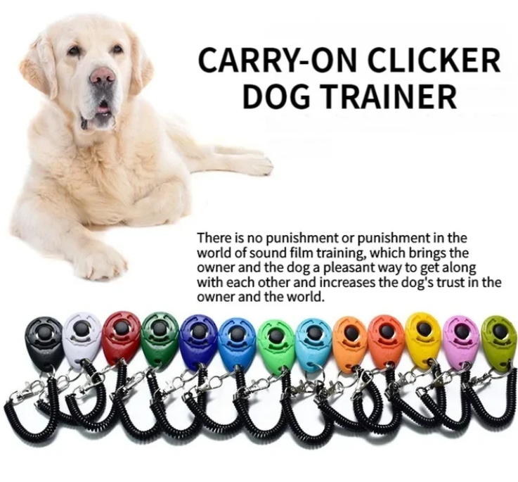 gps-pet-tracker-waterproof-dog-collar
bluetooth-pet-locator-cat-collar
real-time-pet-tracking-app-interface