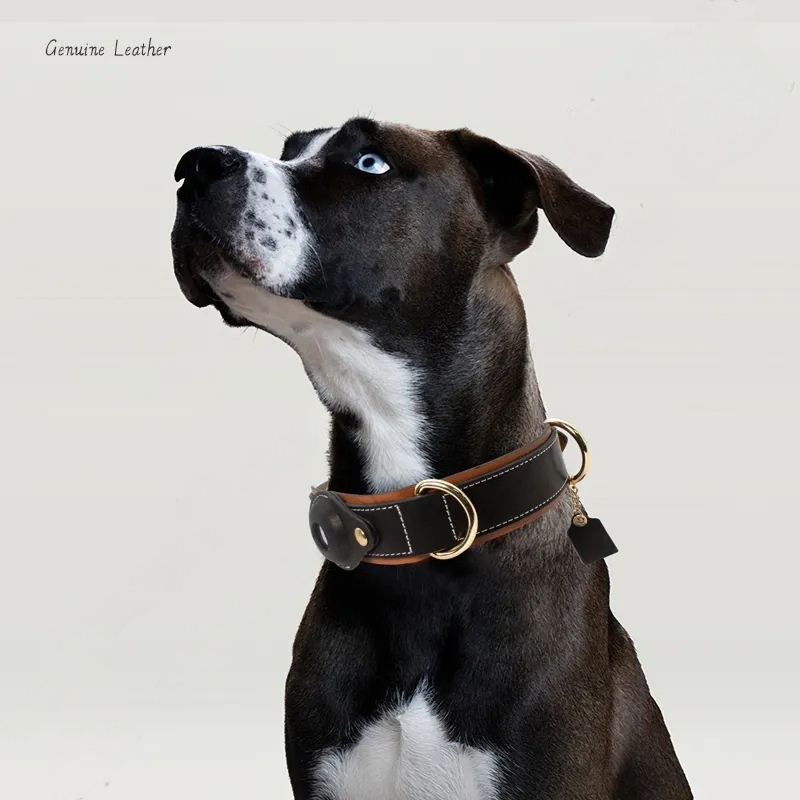 Genuine Leather Dog Collar with AirTag Holder | No Monthly Fee | Apple Find My Compatible | Prop 65 Compliant