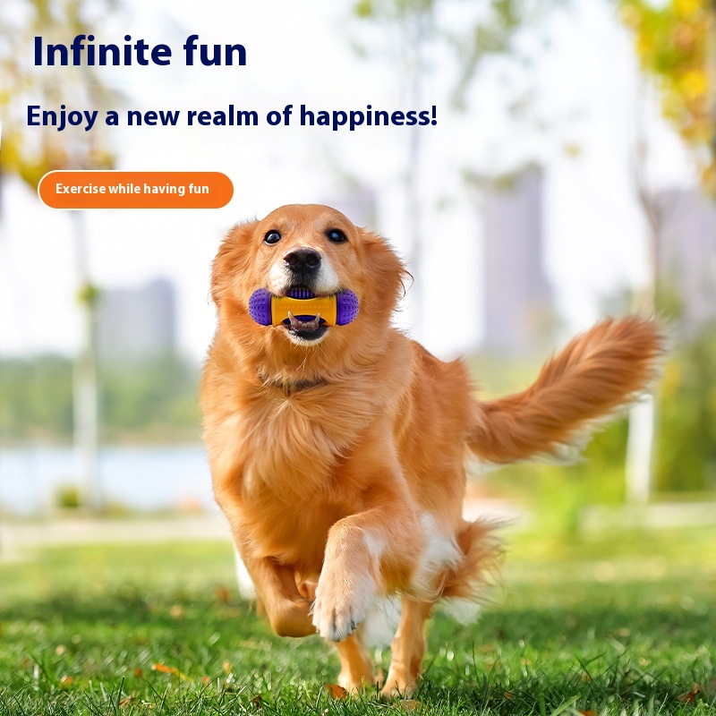 Interactive Dog Chew Toy - Dental Cleaning Drum with Treat Dispenser