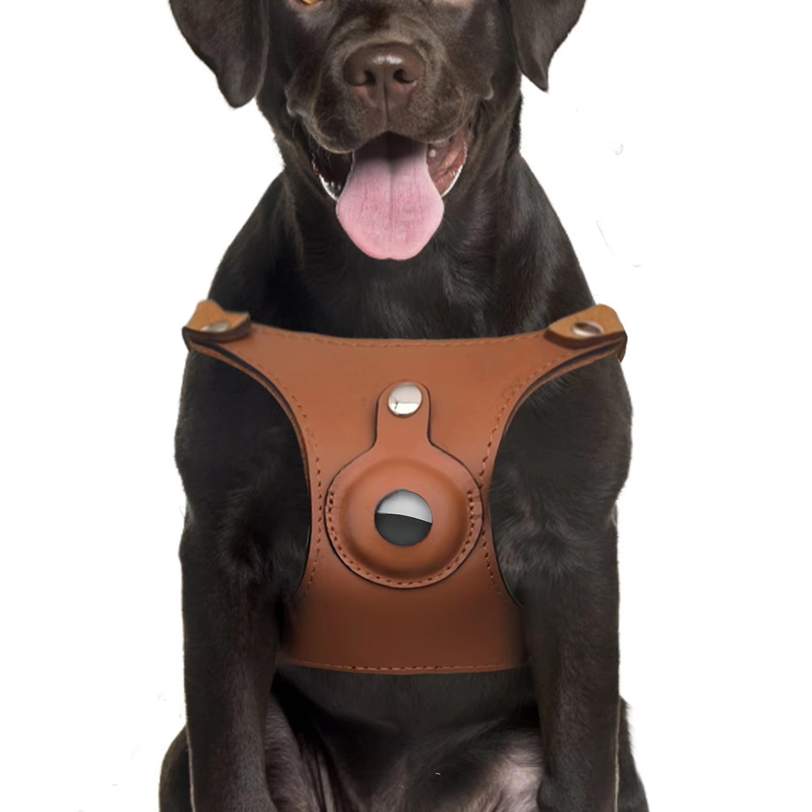 Premium Leather Dog Harness with Hidden AirTag Pocket | Adjustable & Secure | S, M, L