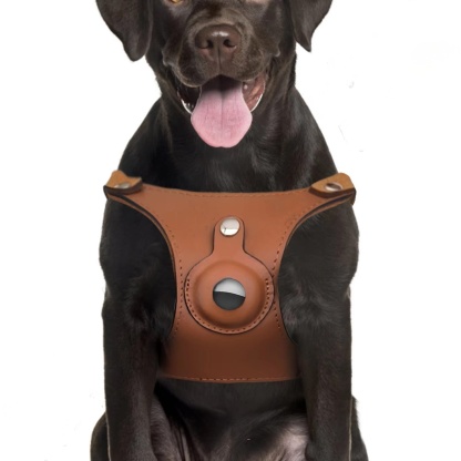 Premium Leather Dog Harness with Hidden AirTag Pocket | Adjustable & Secure | S, M, L