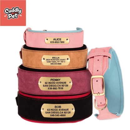 Extra Wide Padded Dog Collar for Large Breeds - Comfort & Safety with Engraved ID Plate, Zinc Alloy Buckle - Adjustable Durable Neoprene Leather Collar