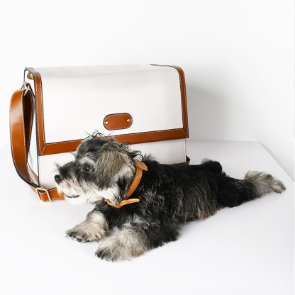 Stylish Oversized Leather Pet Carrier Bag - Breathable Mesh, Soft Strap, Washable Pad for Cats & Small Dogs