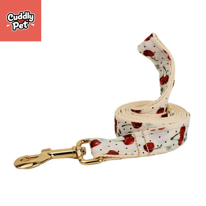 ✨ Custom Engraved Dog Leash Set - Tangle-Free, Padded Handle