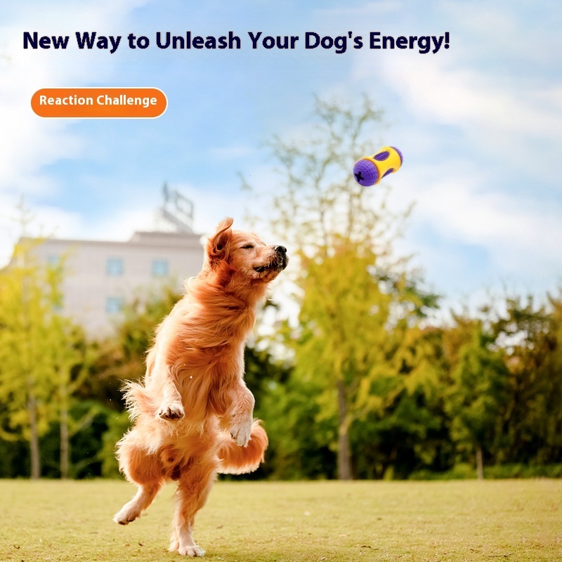 Interactive Dog Chew Toy - Dental Cleaning Drum with Treat Dispenser