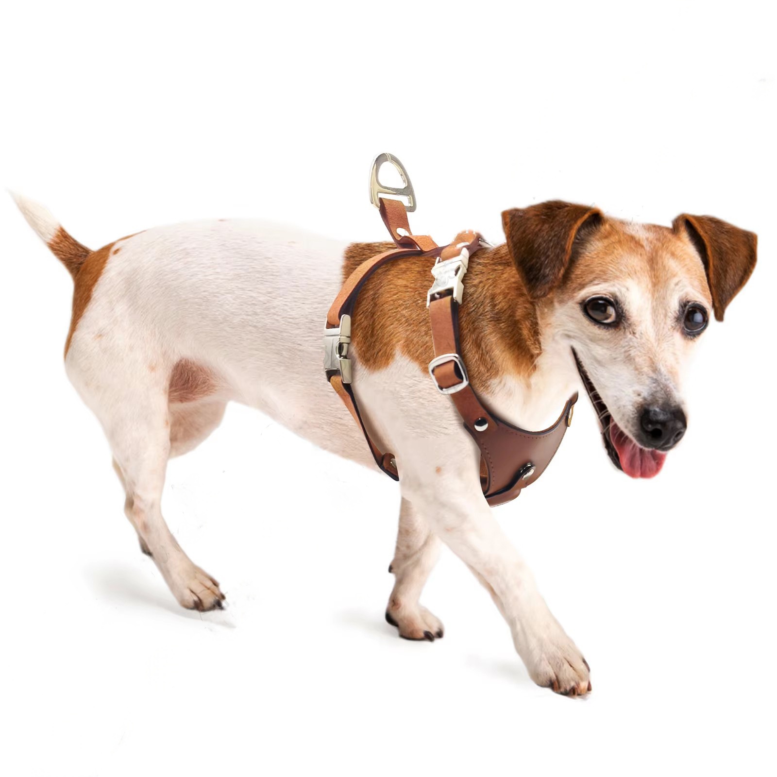 Premium Leather Dog Harness with Hidden AirTag Pocket | Adjustable & Secure | S, M, L