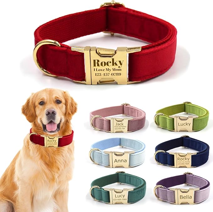 Customized Dog Collars