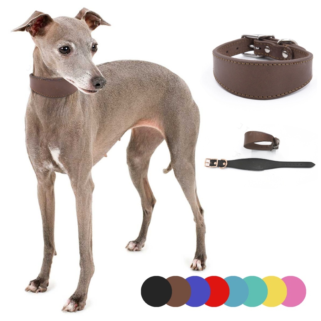 Premium Full Grain Leather Wide Anti-Choke Dog Collar for Greyhounds & Whippets – Luxe Comfort, Durable Design  