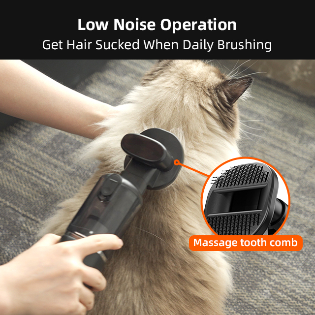 Pro Cordless Vacuum – 10000Pa Pet Hair Powerhouse, HEPA Filter, 25min Runtime