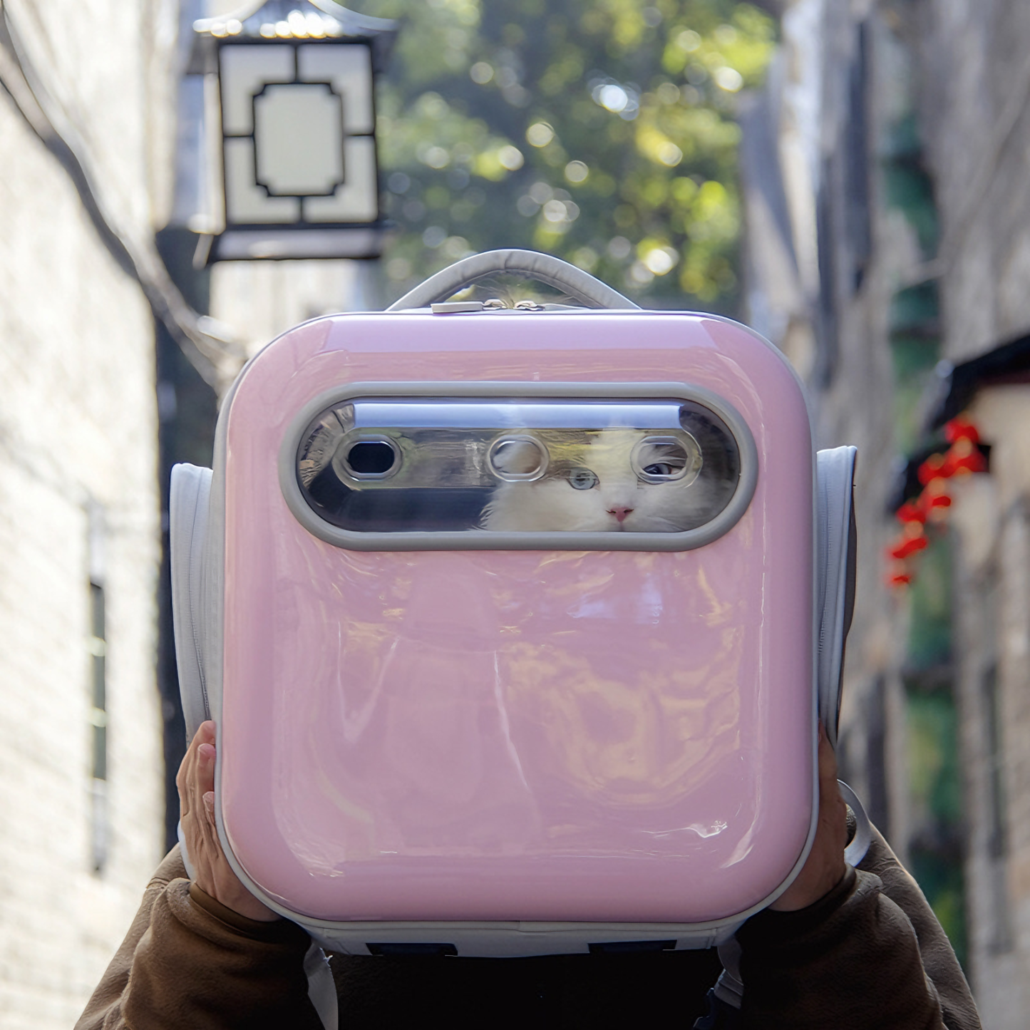 Ventilated Pet Carrier Backpack with Hidden Window - Large Airflow Cat & Small Dog Carrier, EVA Back Support, Water-Resistant, Travel Friendly