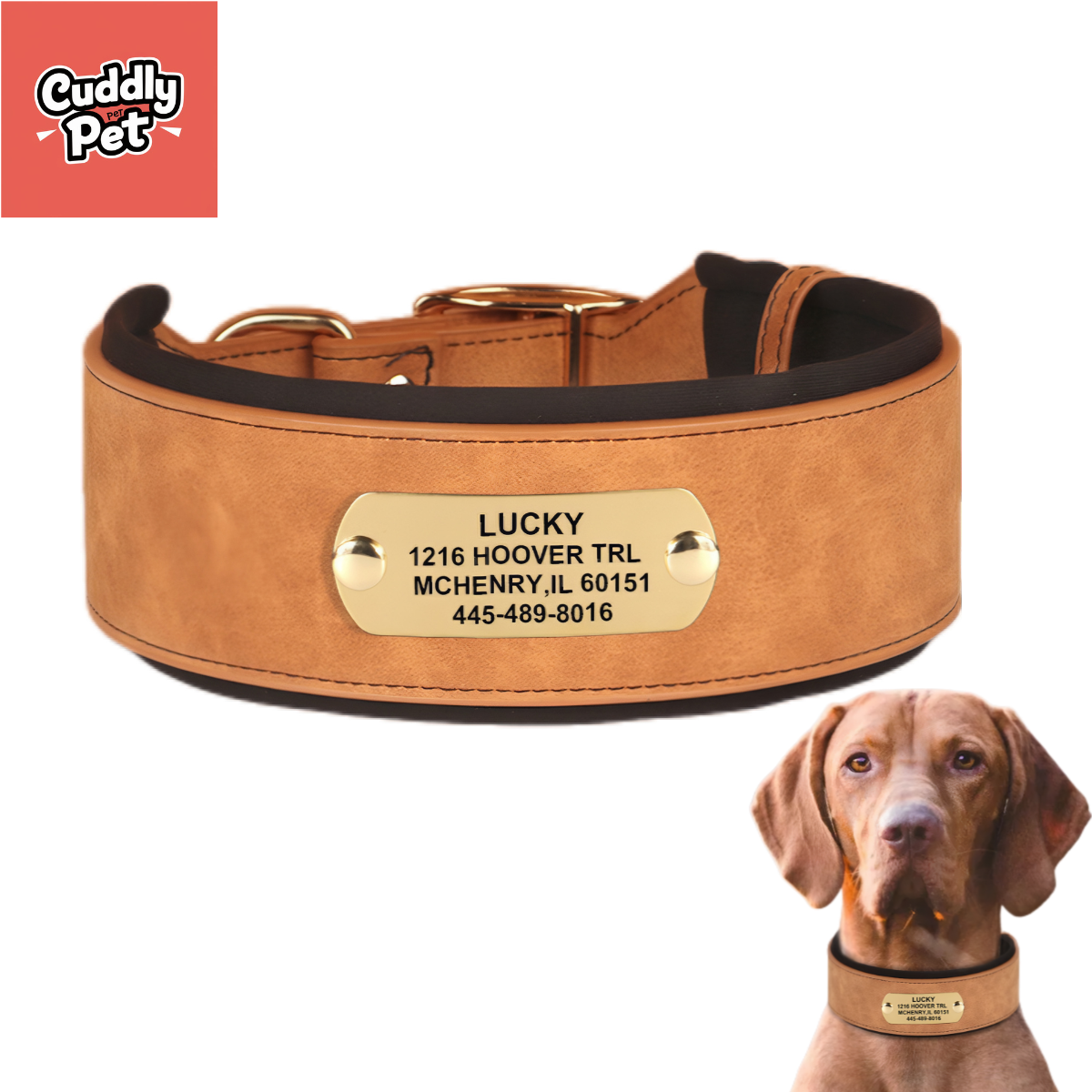 Extra Wide Padded Dog Collar for Large Breeds - Comfort & Safety with Engraved ID Plate, Zinc Alloy Buckle - Adjustable Durable Neoprene Leather Collar