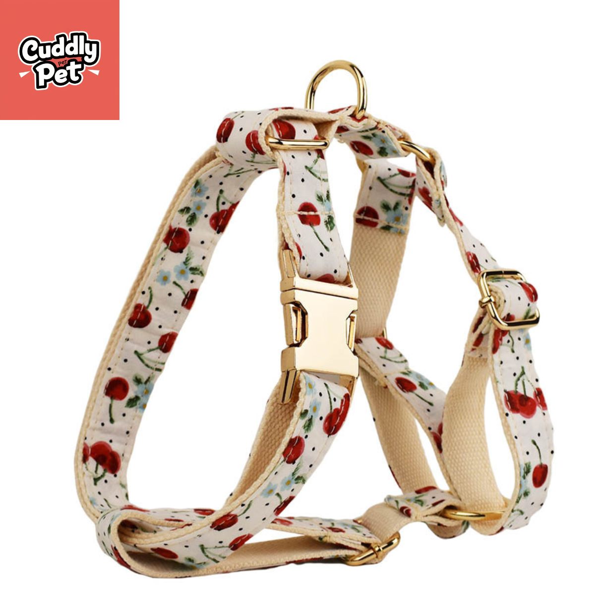 ✨ Custom Engraved Dog Leash Set - Tangle-Free, Padded Handle