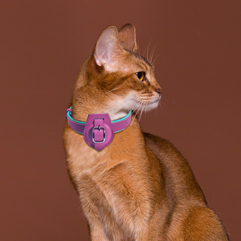 Premium Leather AirTag Collar – GPS Tracking Anti-Loss Collar for Small & Medium Dogs & Cats