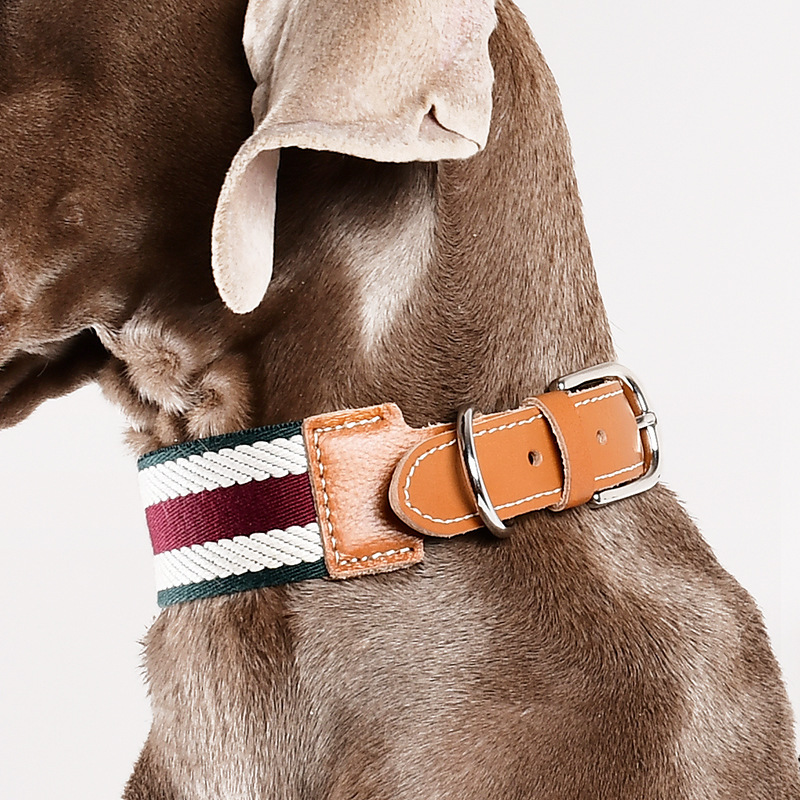 Weimar Series Breakaway Safety Dog Collar - Adjustable Genuine Leather Pet Collar with Metal Buckle | 4 Sizes | 6 Colors