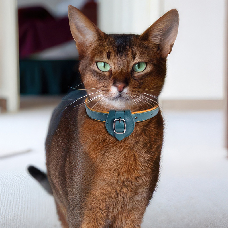 Premium Leather AirTag Collar – GPS Tracking Anti-Loss Collar for Small & Medium Dogs & Cats