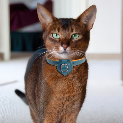 Premium Leather AirTag Collar – GPS Tracking Anti-Loss Collar for Small & Medium Dogs & Cats