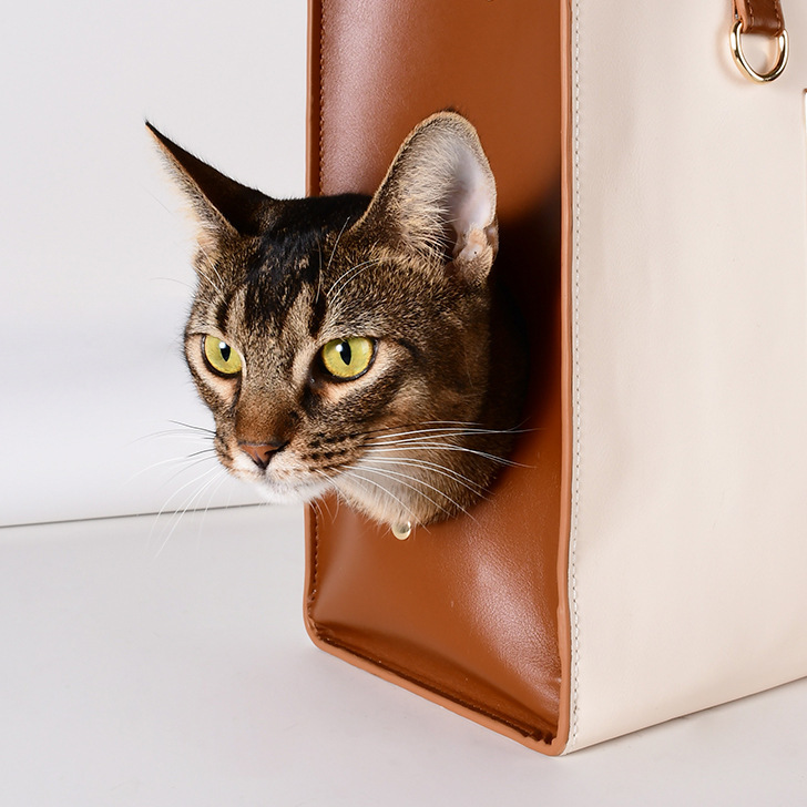 Luxury Leather Pet Carrier Bag - Explorer Series | Spacious Travel Carrier for Cats & Small Dogs | Free Leather Collar Gift