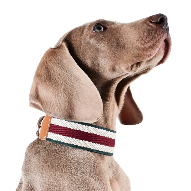 Weimar Series Breakaway Safety Dog Collar - Adjustable Genuine Leather Pet Collar with Metal Buckle | 4 Sizes | 6 Colors