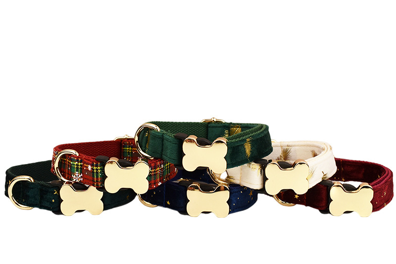 Bone Buckle Series Dog Collar