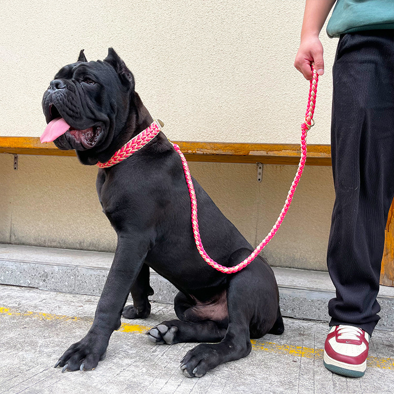Eco-Friendly Fashion Weaving Pet Leash Set – Comfortable, Strong & Tangle-Free with 360° Rotatable Buckle for Small to Large Dogs