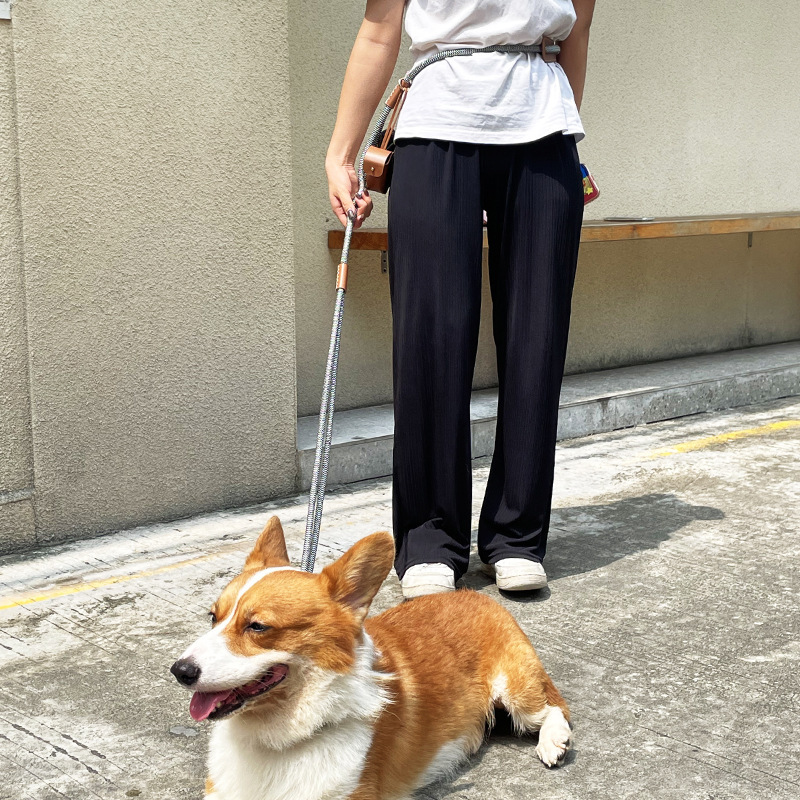 Multipurpose Adjustable Pet Leash Harness Set - Hands-Free Running Lead, Reflective Eco-Nylon, Breakaway Safety Collar