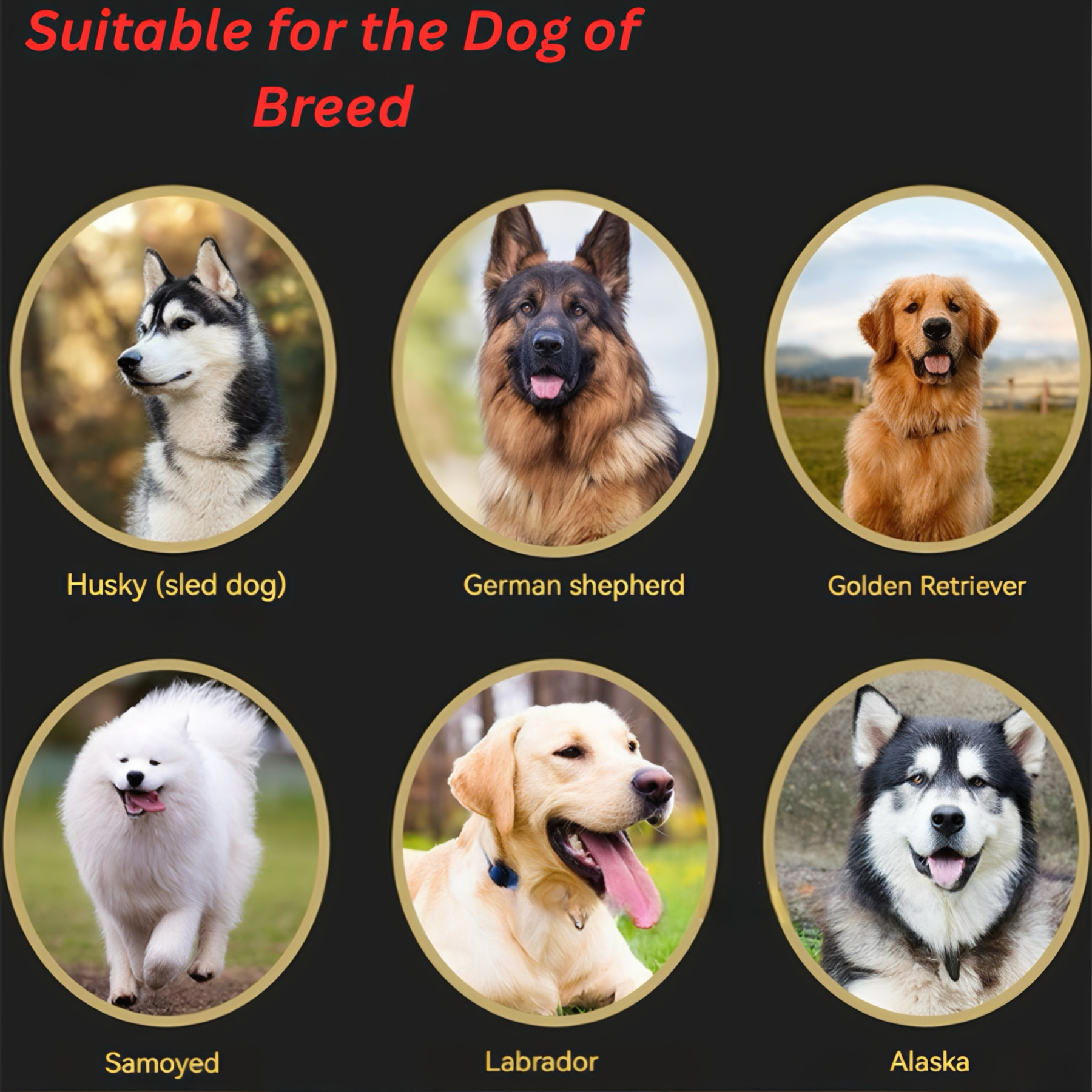 CuddlyPet Automatic Dog Paw Cleaner Machine - One-Button Wash, Fast Dry, Portable Pet Foot Washer for Medium Large Dogs