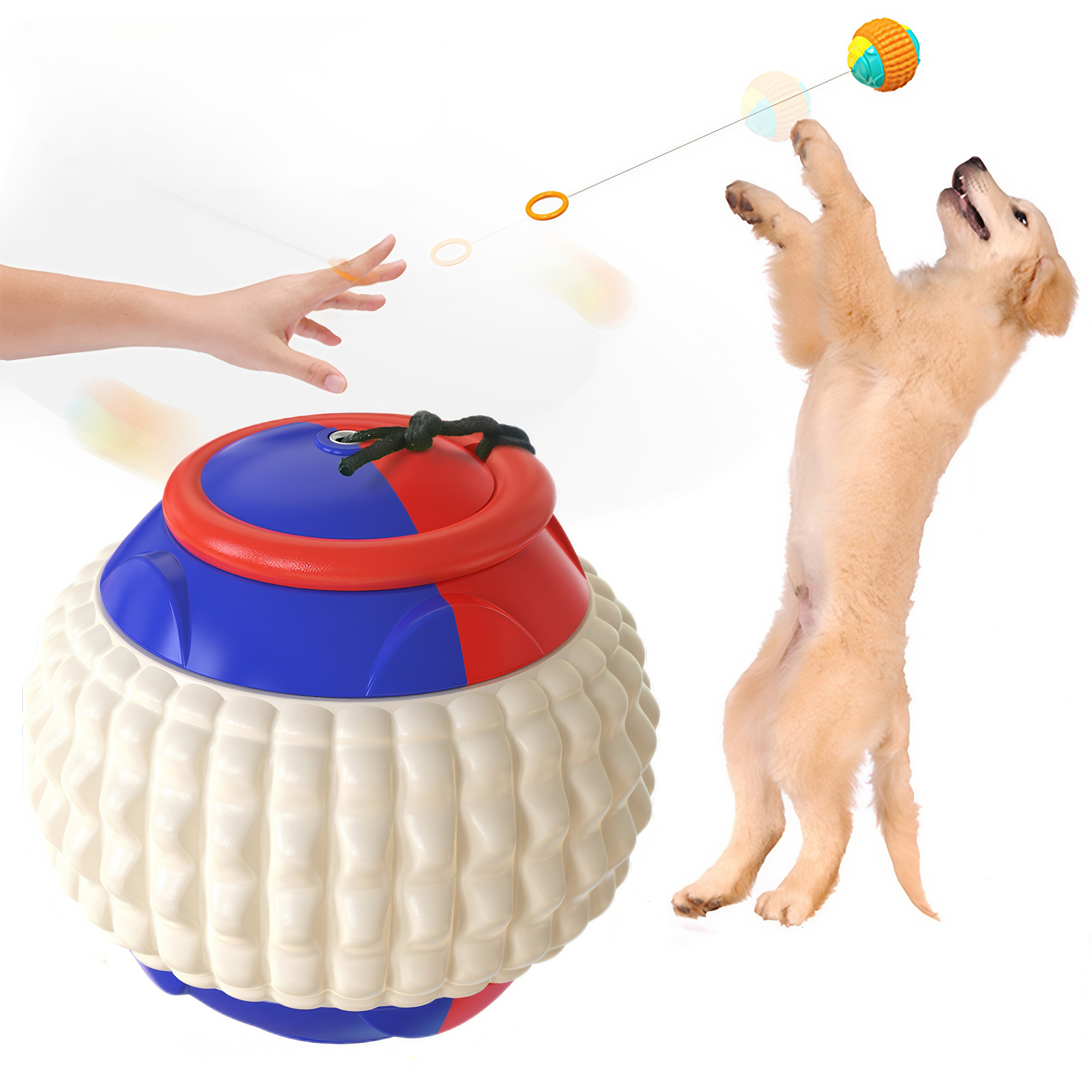Interactive Dog Toy Ball - Retractable Chew Toy for Dental Care, Fetch & Anxiety Relief