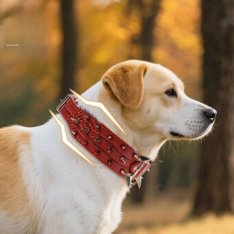 Bully Breed Heavy Duty Spiked Collar - Puncture Proof, Anti-Pull, Metal Rivets for Large/X-Large Dogs (M-XXL Sizes, Black/Gold/Brown/Red)