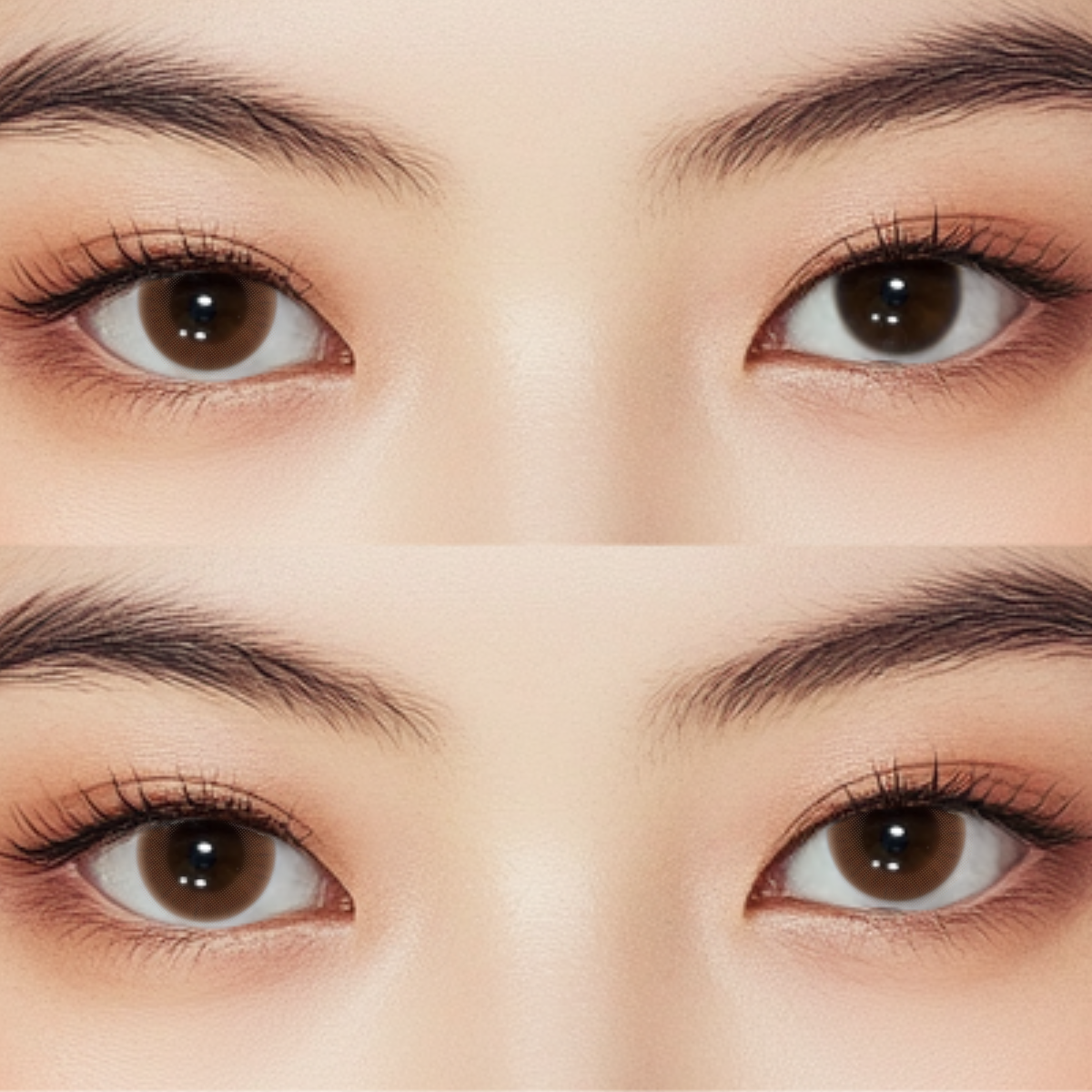 Molten Brown Colored Contact Lenses | Daily，10Pcs