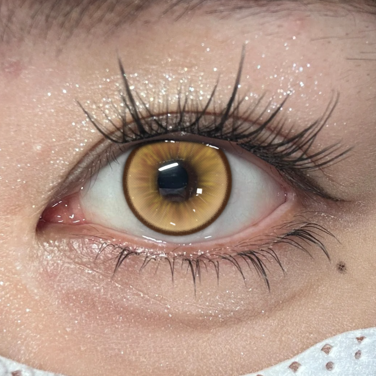 Penina Brown Colored Contact Lenses