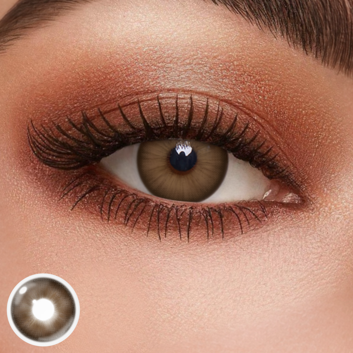 Audrey Chocolate Colored Contact Lenses