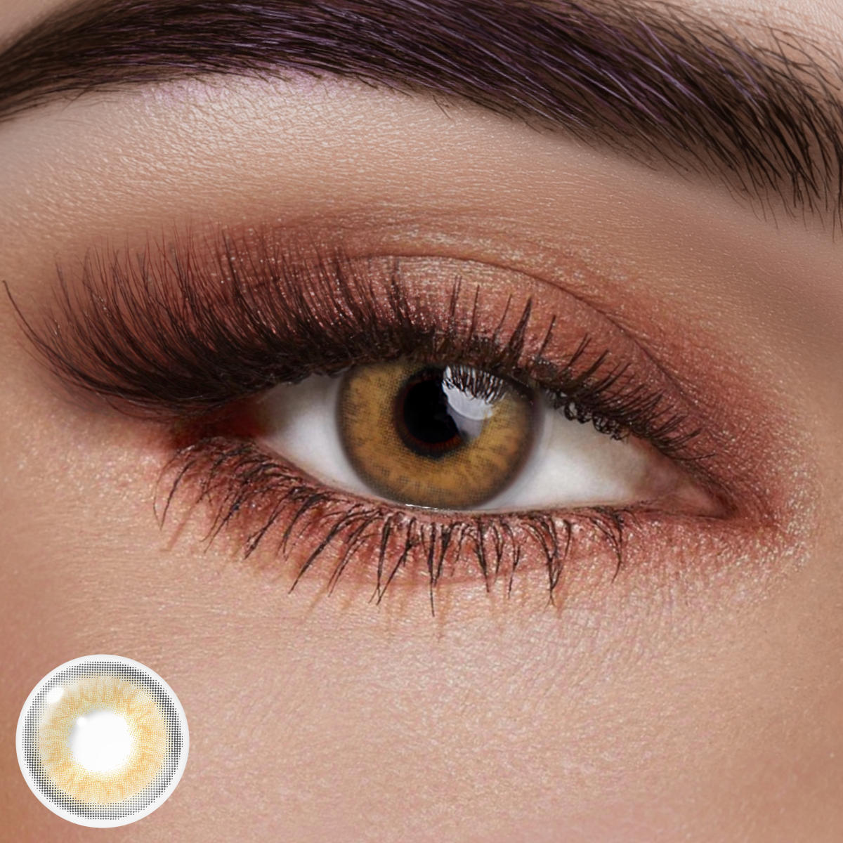 Himalis Brown Colored Contact Lenses