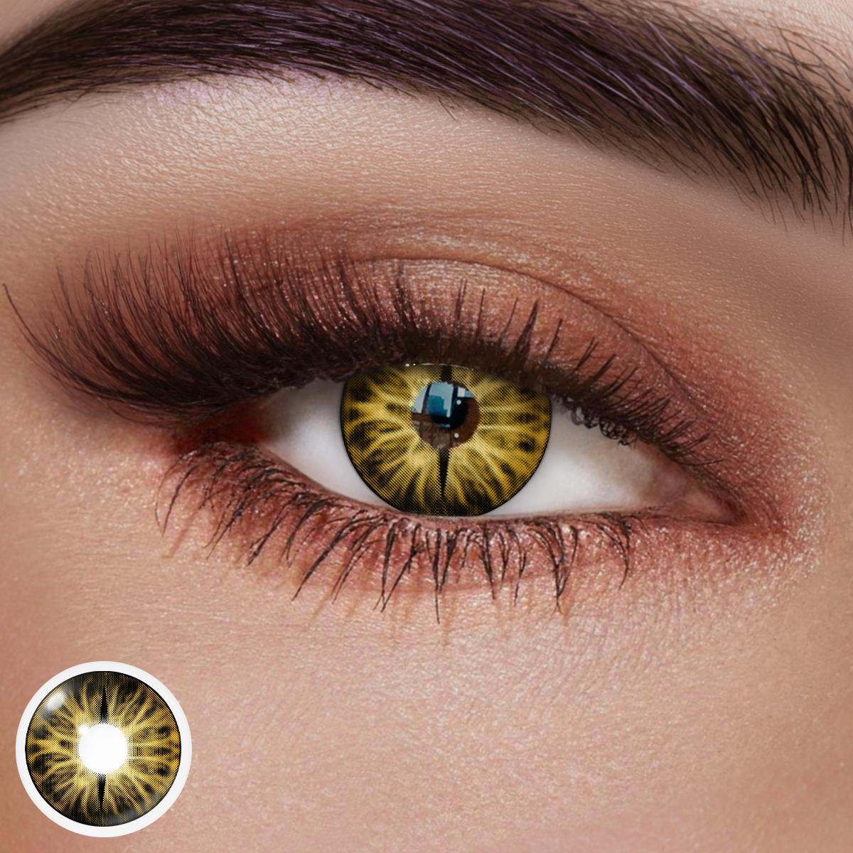 Snake Gaze Brown Colored Contact Lenses