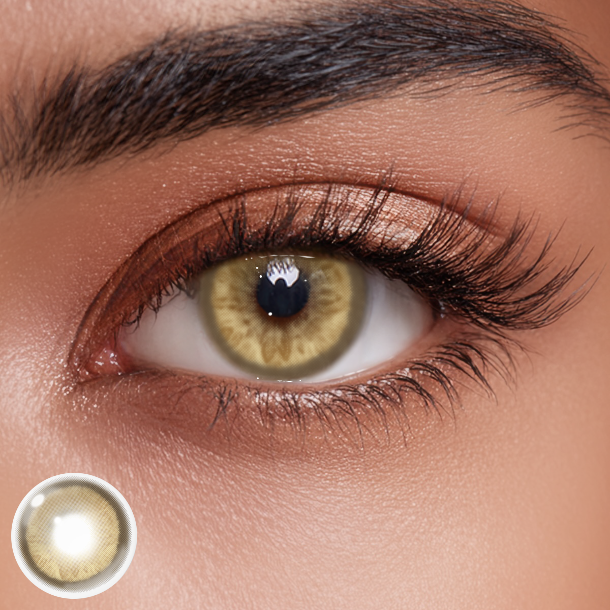 Xavia Brown Colored Contact Lenses
