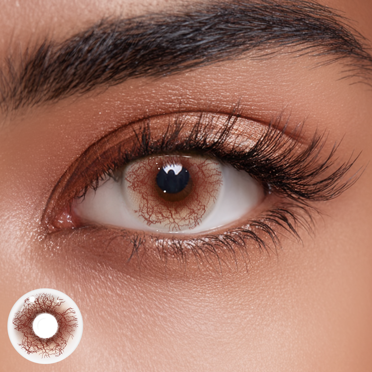 Tansia Brown Colored Contact Lenses