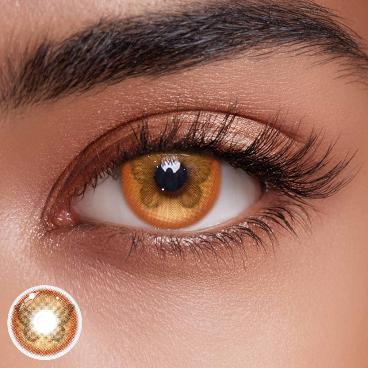 Vivace Brown Colored Contact Lenses