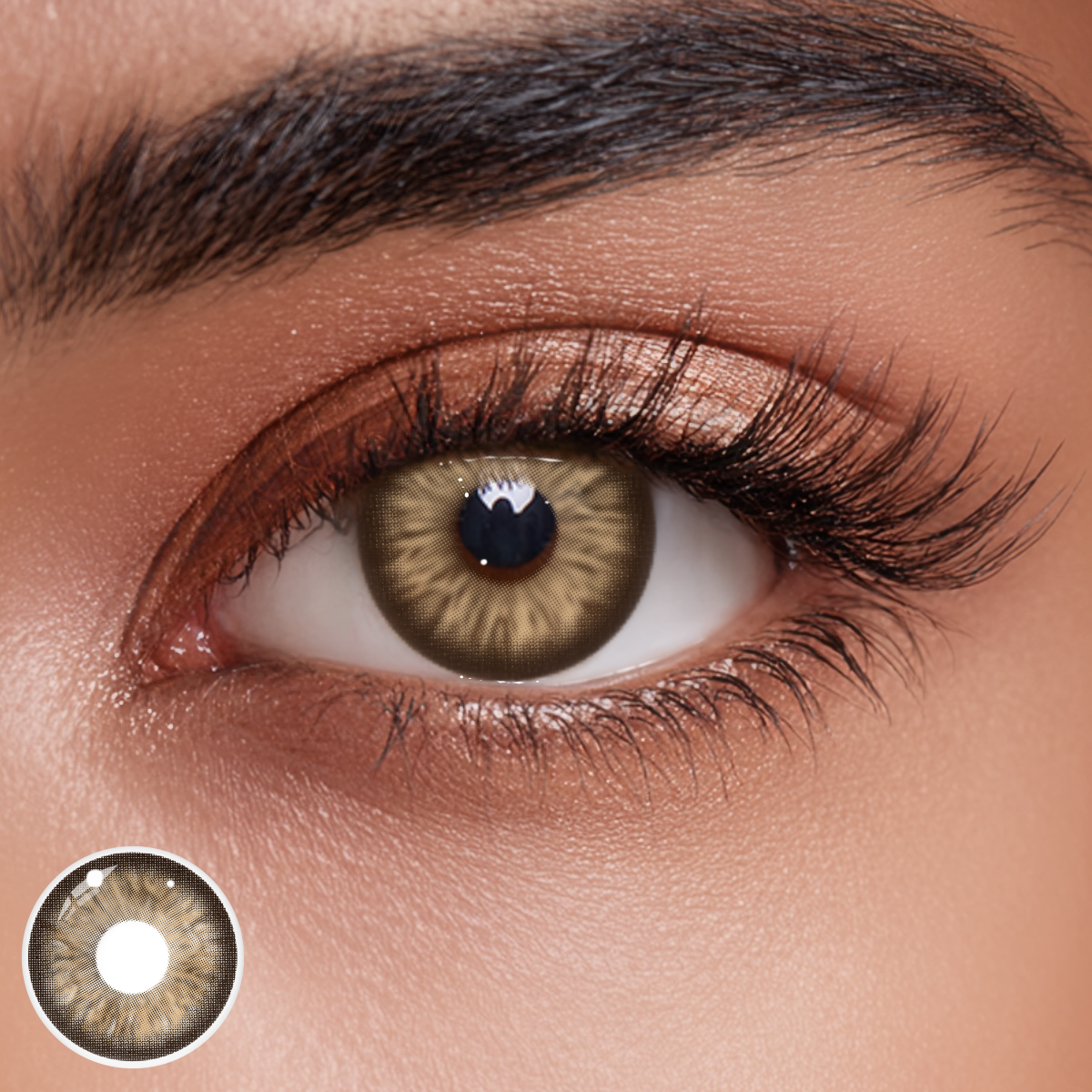 Verdana Brown Colored Contact Lenses