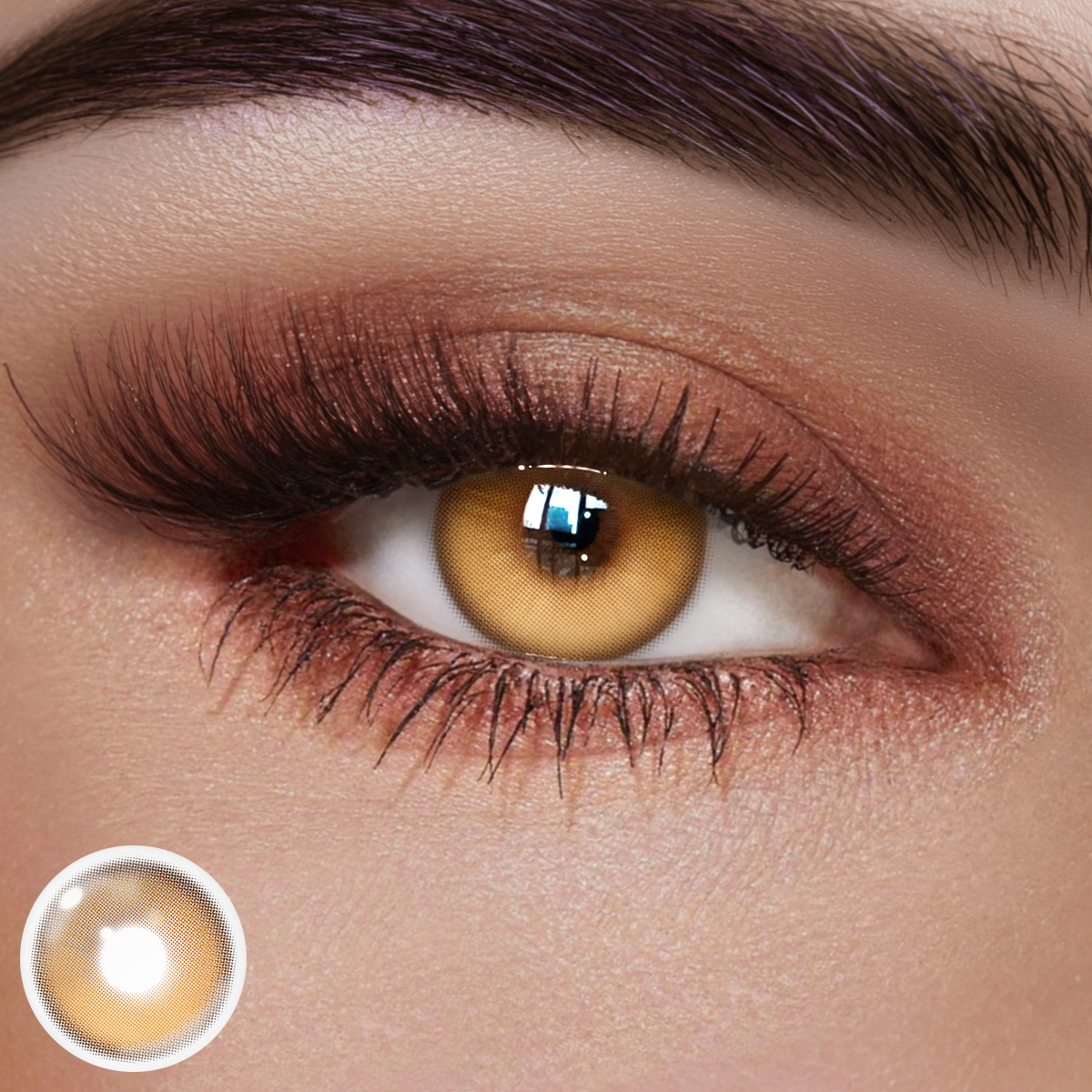 Brunelle Brown Colored Contact Lenses