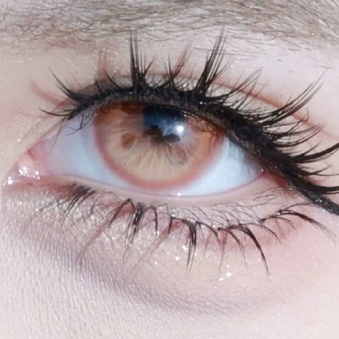 Vivace Brown Colored Contact Lenses