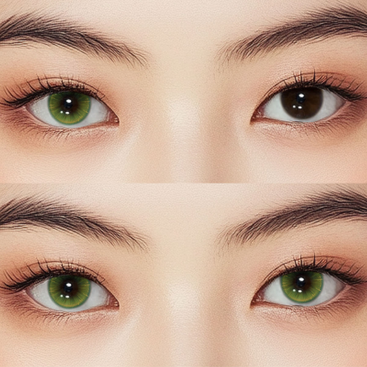 Tartis Green Colored Contact Lenses