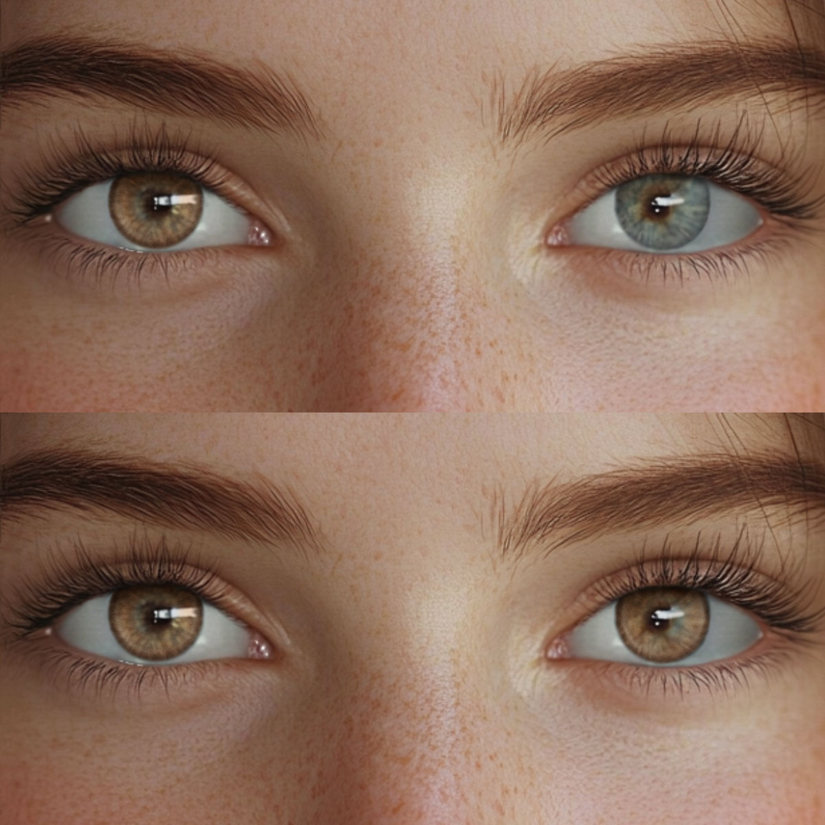Enchantis Brown Colored Contact Lenses