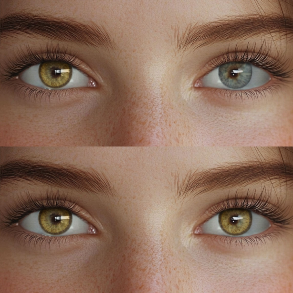 Xavia Brown Colored Contact Lenses