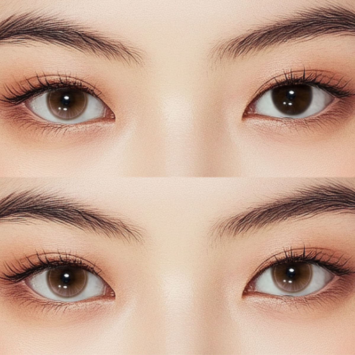 Luxe Ceris Brown Colored Contact Lenses
