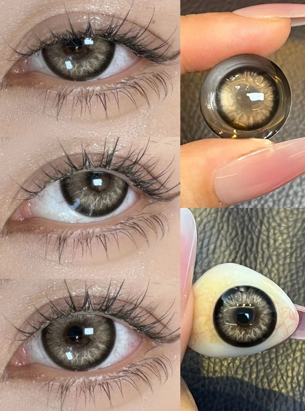 Ellie Brown Colored Contact Lenses