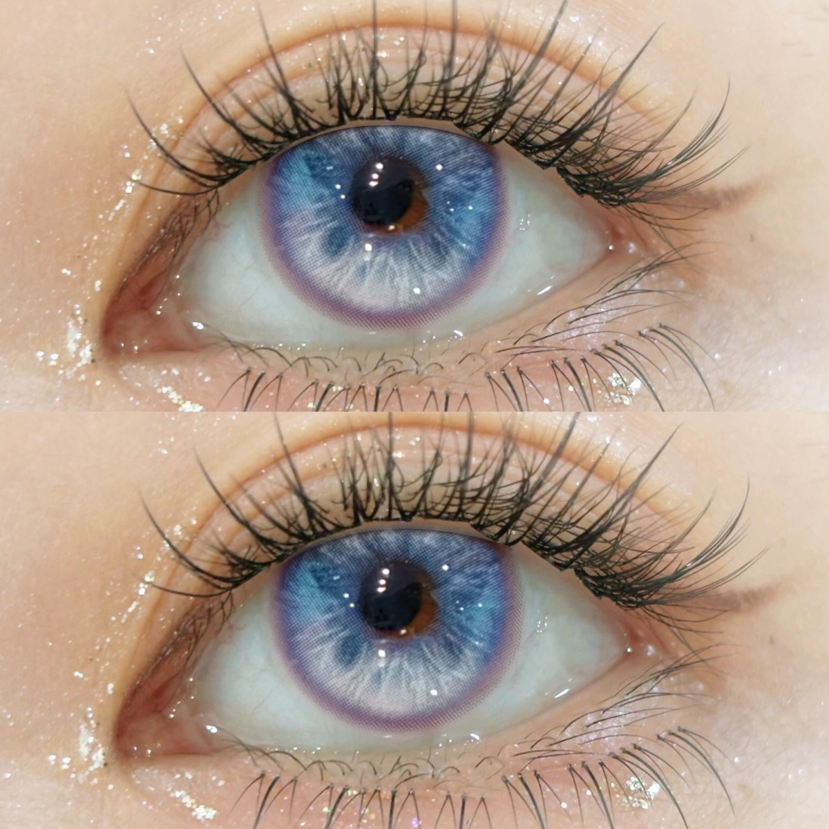 Vivace Blue-Pink Colored Contact Lense