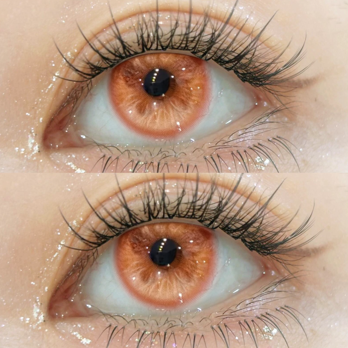 Vivace Brown Colored Contact Lenses