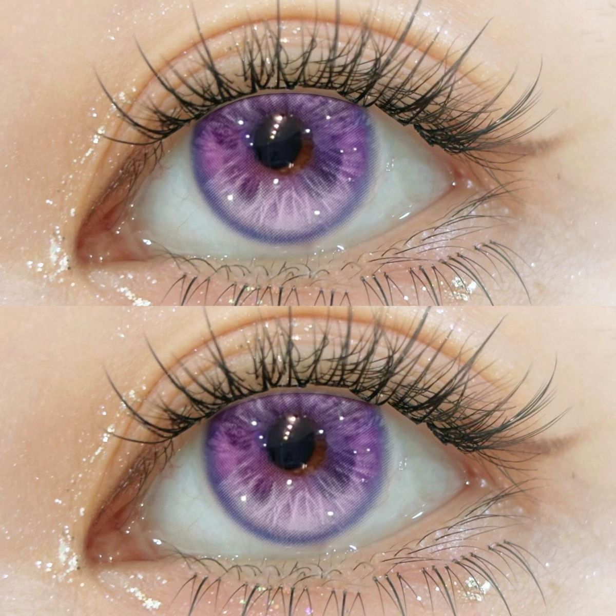 Vivace Purple Colored Contact Lenses