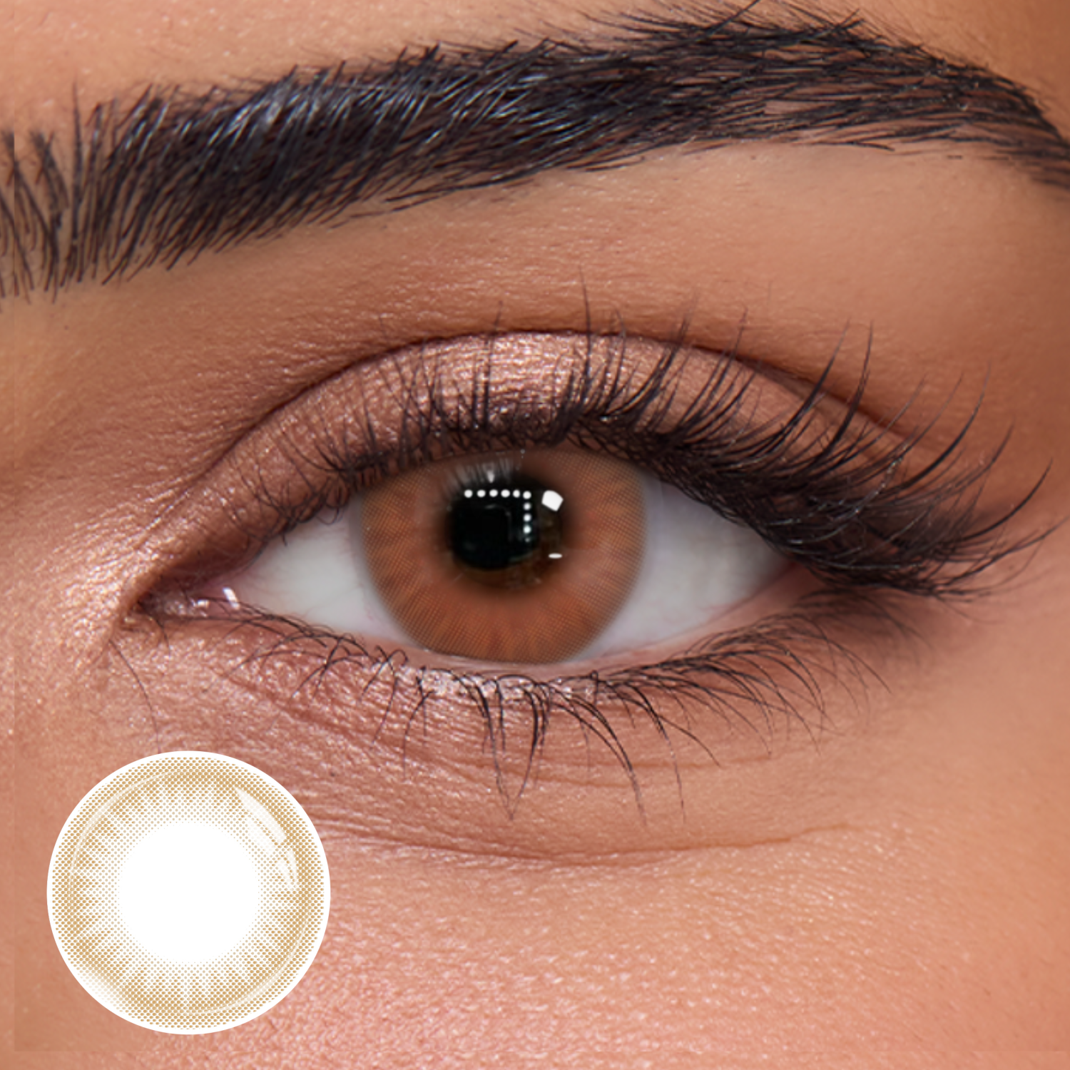 Truffle Brown - 1 Day, 10pcs